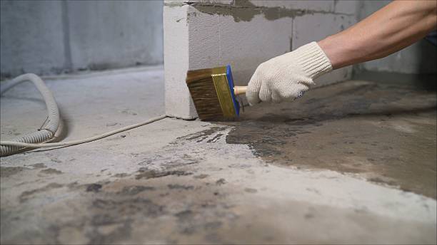 24/7 Emergency Exterior Waterproofing experts in Belleville, MI